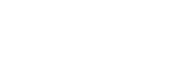 Logo Club DSI Bénin